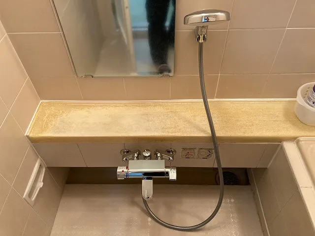 浴室水栓のデザインと機能性